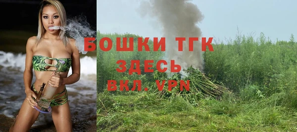 дживик Костерёво