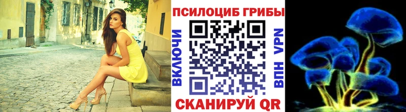 Купить где  Белгород  Галлюциногенные грибы MAGIC MUSHROOMS 
